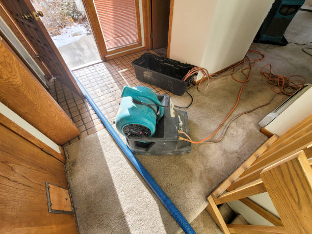 Best Water damage contractors near me  in Wentworth, NC