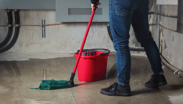 Water damage restoration mold remediation in Wentworth, NC