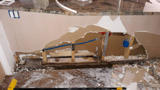 Best Water damage cleanup near me  in Wentworth, NC