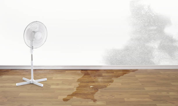 Water damage restoration insurance claims in Wentworth, NC