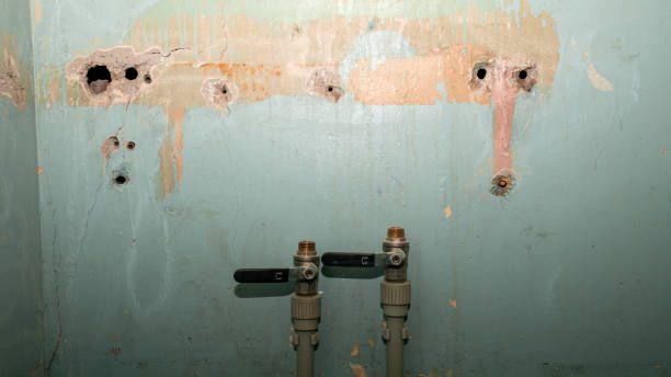 Best Emergency water damage restoration  in Wentworth, NC