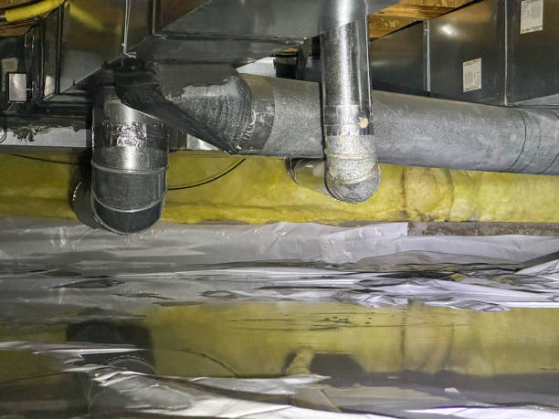 Best Water damage restoration insurance claims  in Wentworth, NC