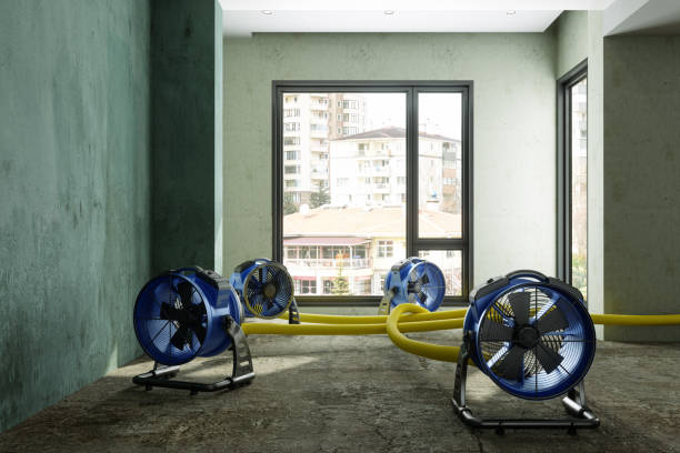 Best Professional water damage repair  in Wentworth, NC